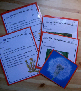 Detailansicht. Ein Legespiel zum L&ouml;wenzahn