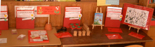 Spiele und Lesematerial &nbsp;zu verschiedenen Wiesentblumen